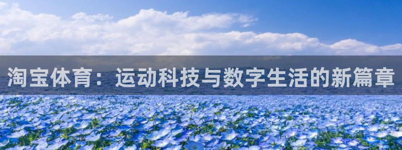 球皇直播nba