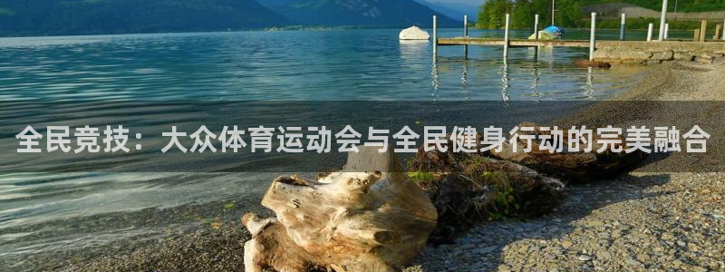 球皇体育