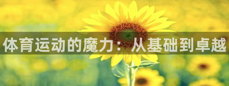球皇社直播app官方下载无病毒：体育运动的魔力：从基础到卓越