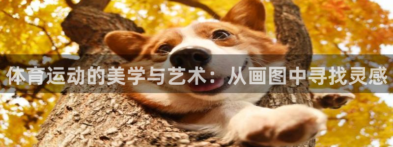 球皇看球app：体育运动的美学与艺术：从画图中寻找灵感