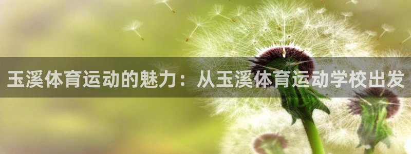 球皇看球最新版：玉溪体育运动的魅力：从玉溪体育运动学校出发