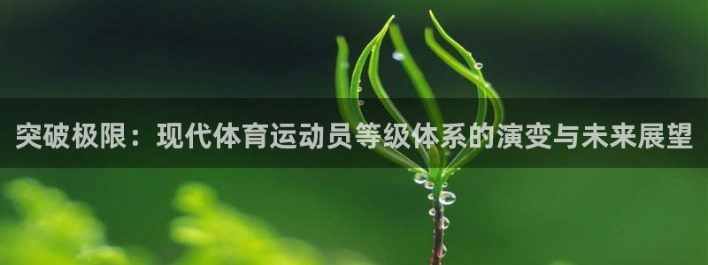 球皇看球软件app：突破极限：现代体育运动员等级体系的演变与未来展望