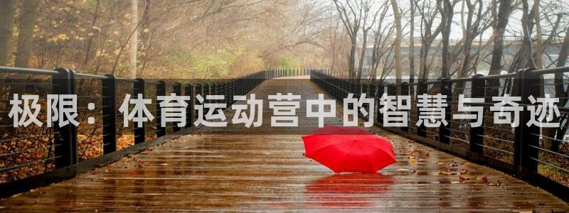 球皇无双：极限：体育运动营中的智慧与奇迹