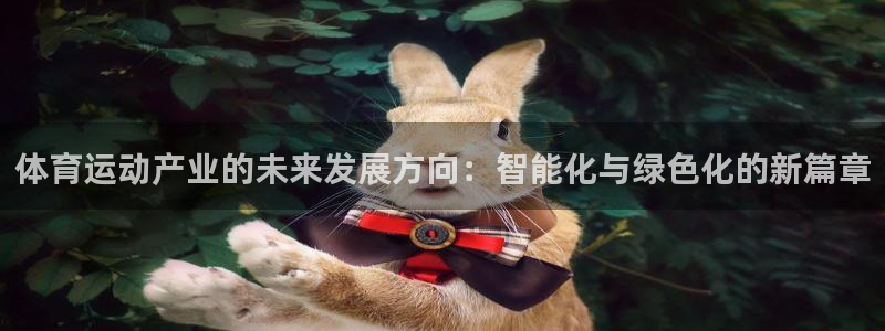 球皇看球APP