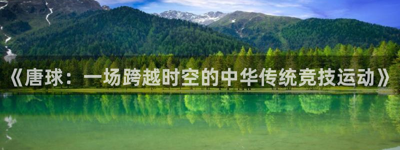 球皇看球