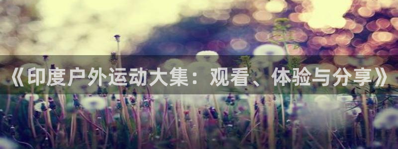 球皇直播nba