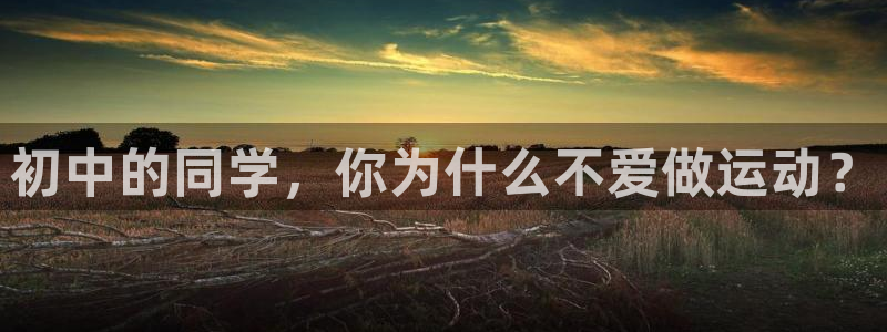 球皇直播直播网
