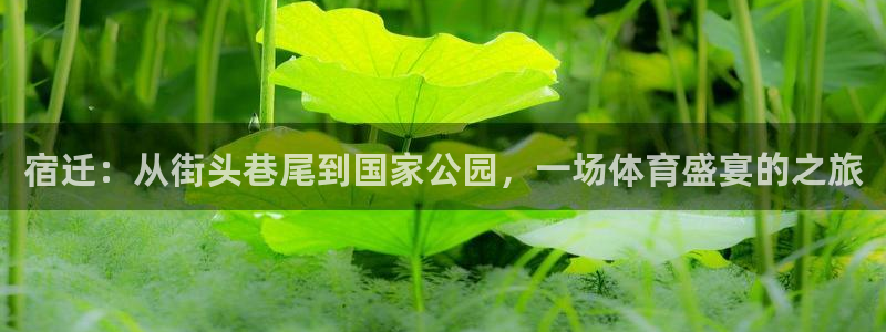 球皇看球APP