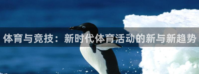 球皇lol