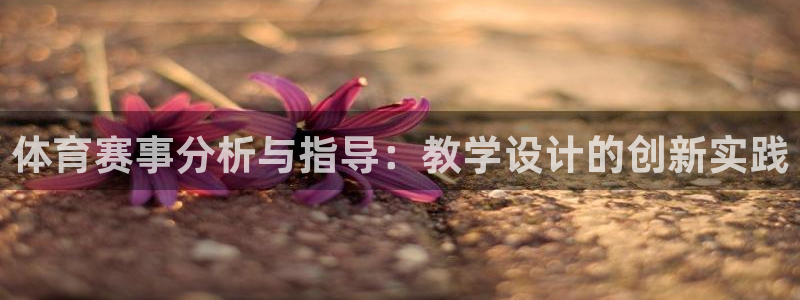 球皇看球APP